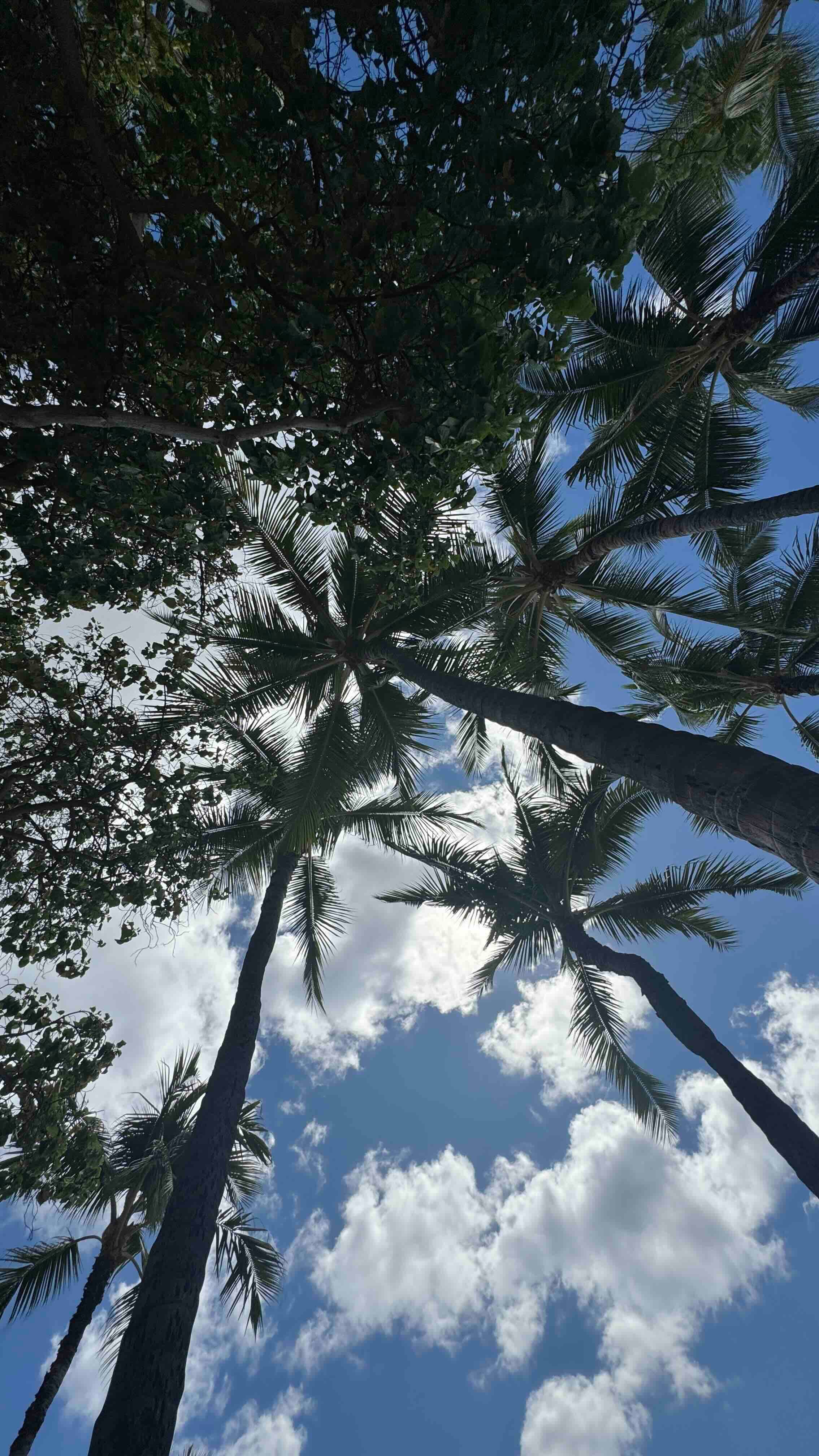 Honolulu, United States